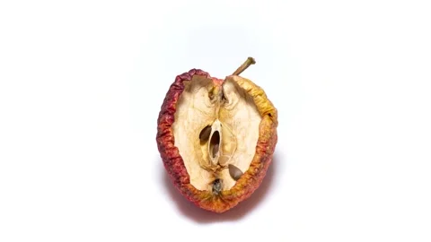 Red apple becomes dry and wrinkled. Stockbeeldmateriaal 171883151