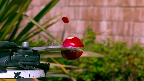 Red apple being sliced to thin slices by metallic blades spinning in slow Vídeos de archivo 284245243