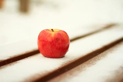 Red apple on a bench in winter Stock Photos