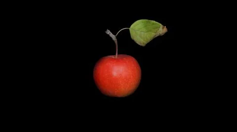 Red apple on a black background Stock Photos