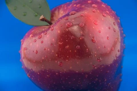 Red apple on a blue background Stock Photos