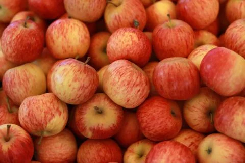 Red apple in busket Stock Photos