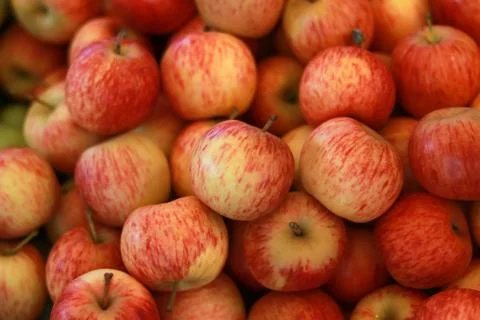 Red apple in busket Stock Photos