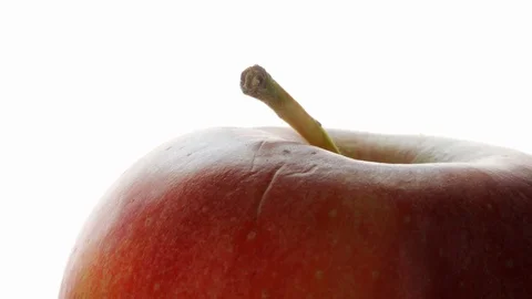 Red Apple close up against white background stock footage Stock Footage 103326957