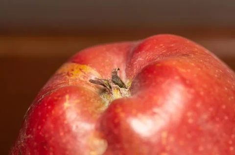 Red apple close-up Concept of vegetable garden, gardening.. Stock Photos