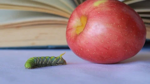 Red apple close up with green worm moving on retro book background, 스톡 동영상 108076866