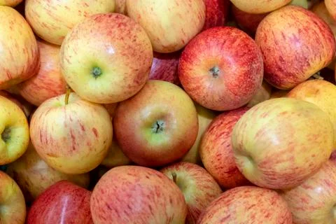 Red apple close-up macro, background Stock Photos