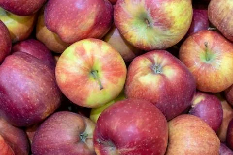 Red apple close-up macro, background Stock Photos