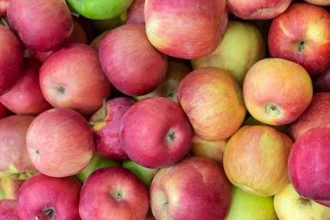 Red apple close-up macro, background Stock Photos