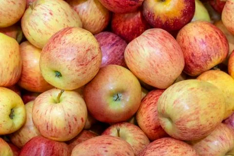 Red apple close-up macro, background Stock Photos