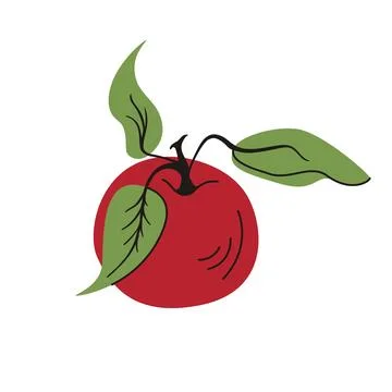 Red Apple Closeup With Leaves Vector Art Stock Illustration
