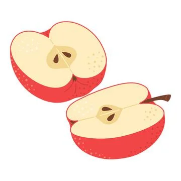 Red apple cut in half. Hand drawn Trendy flat style Stock Illustration