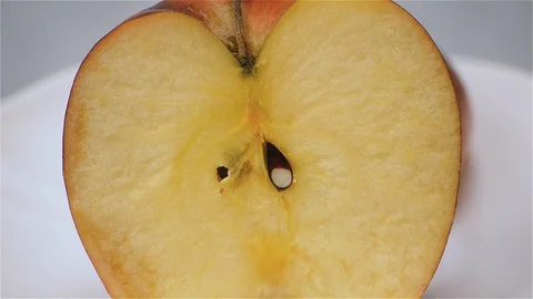 Red Apple Cut In Half Rotating Close Up Vídeo Stock 108534772