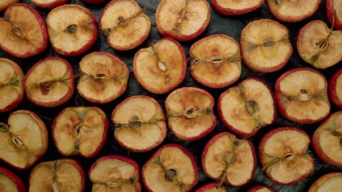 Red Apple Decay Drying Process. Red Apple Becomes Dry And Wrinkled. Fruit Become Stock Footage 304105539
