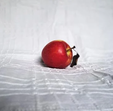 Red apple with dried leaf on textured white fabric background Stock Photos