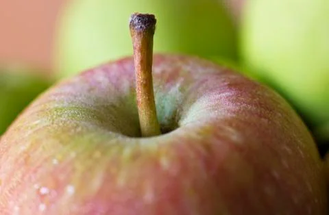 A red apple in drops of water. Macro shooting. Selective focus. Stock Photos