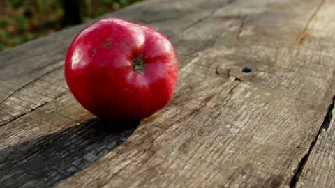 Red apple falls and rolls on wooden table, video footage set. Stock Footage 149989530