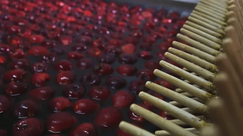 Red apple floating in the water. Stockbeeldmateriaal 128496509