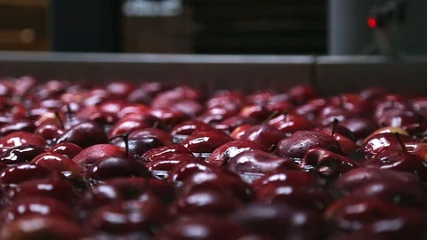 Red apple floating in the water. Видео 128496609