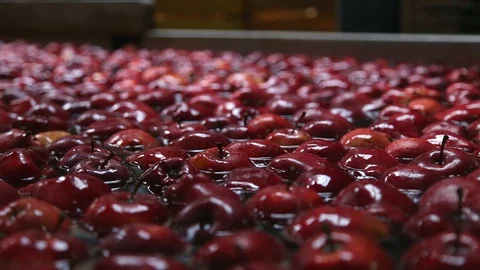 Red apple floating in the water. Видео 128942630