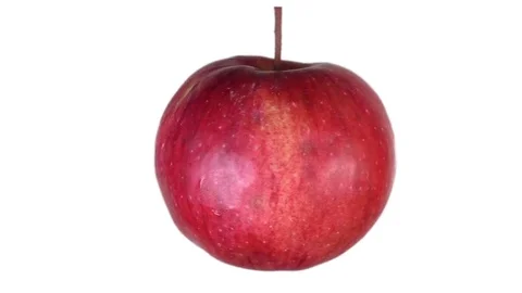 Red Apple Stock Footage 81641878