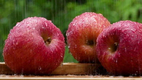 Red Apple Stock Footage 201329872