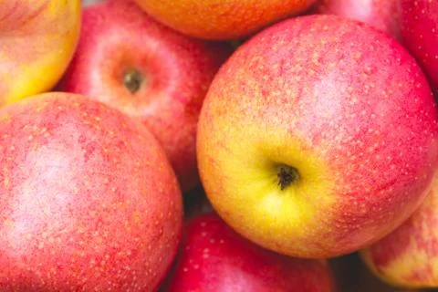 Red apple fruit and vegetable backgrounds. Healthy organic fresh concept. Stock Photos