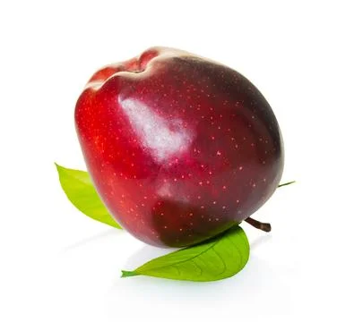 Red apple fruit Stock Photos