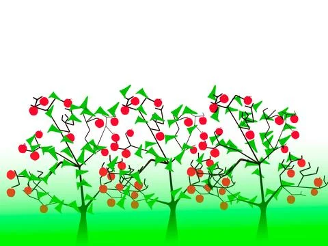 Red apple fruit trees on white and green background Stock Illustration