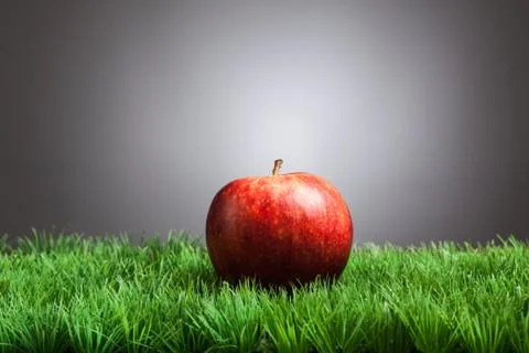 Red apple in grass, gray background Stock Photos