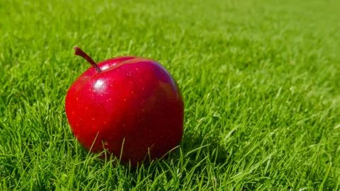 Red apple on the grass Stock Photos