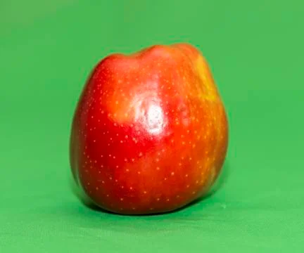 Red apple on a green background Stock Photos