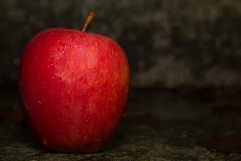 Red apple on the ground Stock Photos