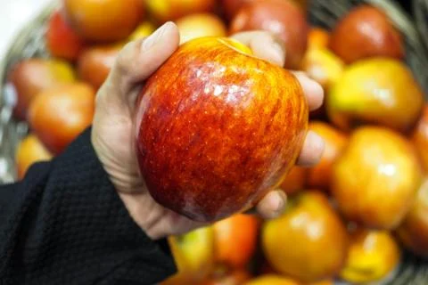 Red apple in hand. Stock Photos