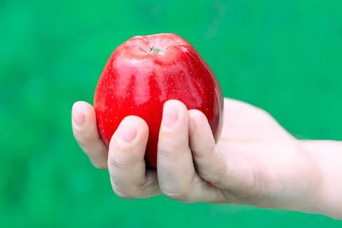 Red apple in the hand Stock Photos