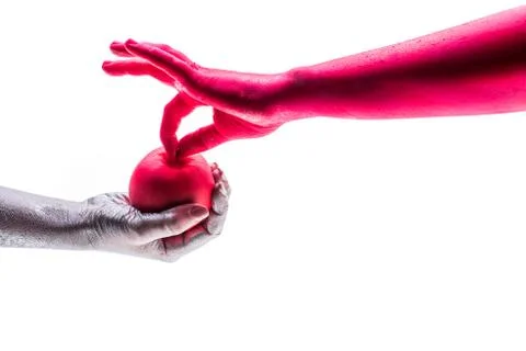 Red apple, hands holding creative apple, red and silver concept. Adam and Eve Stock Photos