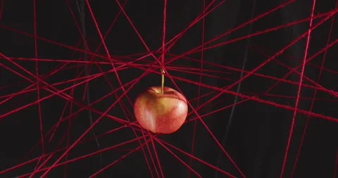 A red apple hangs on a red woolen thread and spins among red threads stretched Stock Footage 312145282