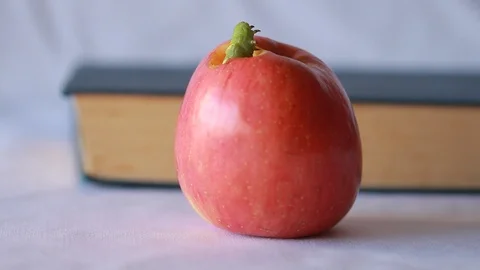 The red apple has a worm inside on a book retro background, 스톡 동영상 111991852