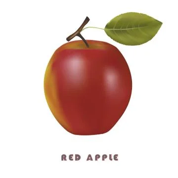 Red apple Stock Illustration