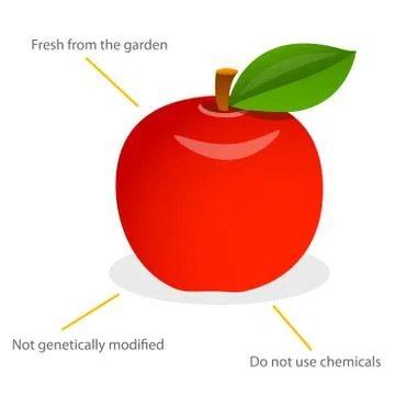 Red Apple Stock Illustration