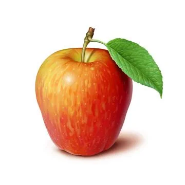 Red Apple isolated on white background, illustration, digital painting Stock Illustration