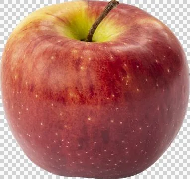 Red apple isolated on white background Stock Photos