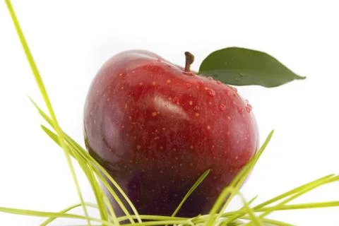 Red apple isolated on white Stock Photos