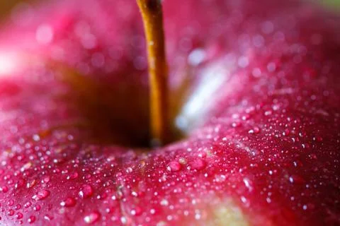 Red apple, macro. Foto stock