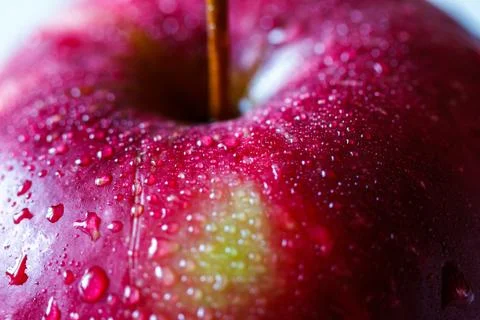 Red apple, macro. Stock-Fotos