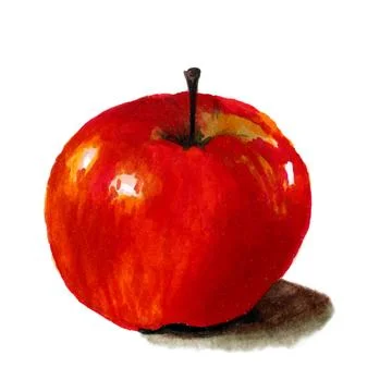 Red apple with markers Stock Illustration