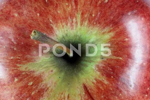 Red Apple No1. Stock Photos