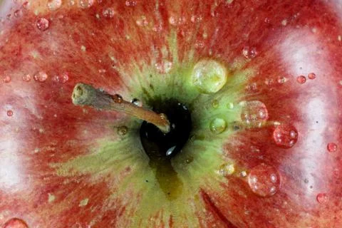 Red Apple No2. Stock Photos