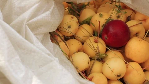 Red apple of other color Stock Footage 80627212