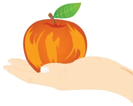 Red apple on palm Stock Illustration